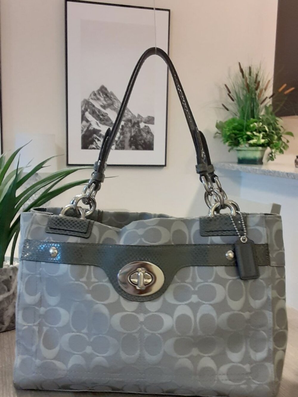 Coach Penelope Silver/Gray Signature Carryall